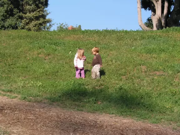 Gorgeous recessed park with a large playground beside meadows and a eucalyptus forest in a suburban neighborhood.