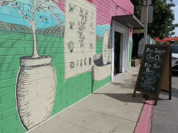 Cute, bright historic area with cafes and gift shops, and a lovely park in front of Temple Beth Israel. Nice views of hills covered in houses and desert plants.