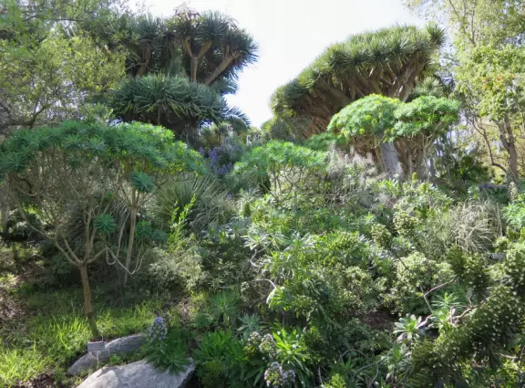 Hilly garden with many different areas to explore.