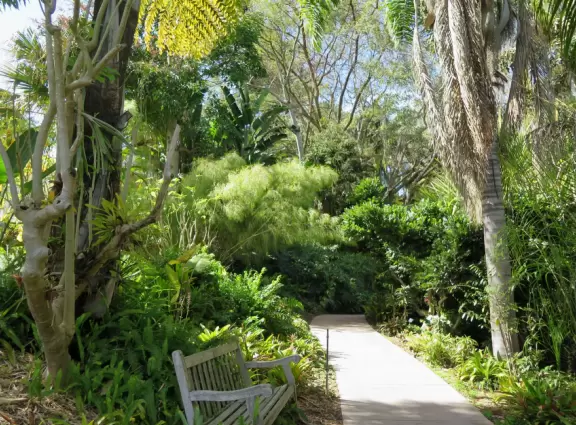 Hilly garden with many different areas to explore.