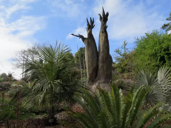 Hilly garden with many different areas to explore.
