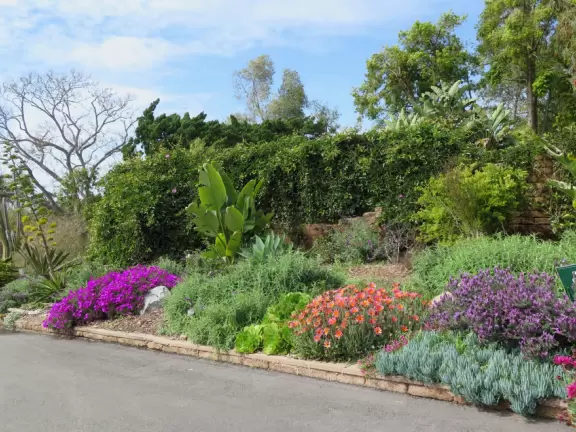 Hilly garden with many different areas to explore.