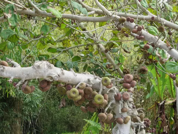 Hilly garden with many different areas to explore.