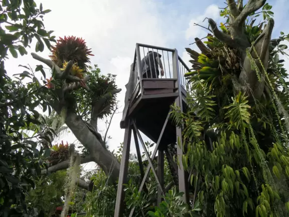 Hilly garden with many different areas to explore.