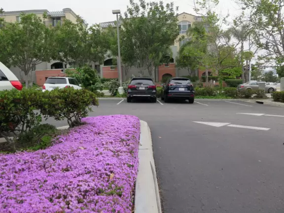 On weekends and after school, residents walk and play at the school playground.