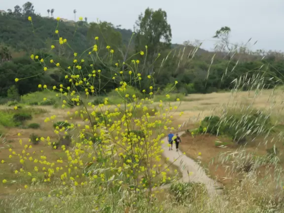 Pretty hike through wide open spaces, past rolling hills, and along a creek.
