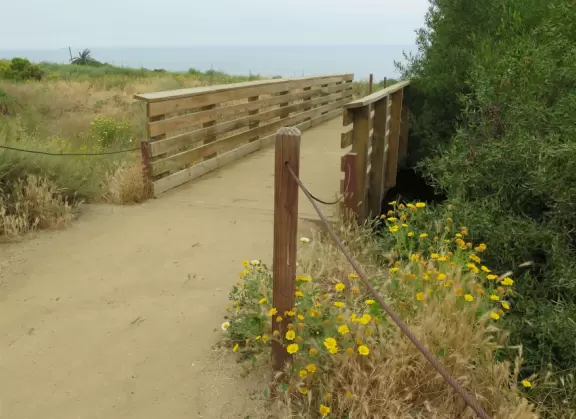 Wealthy neighborhood with cliffs covered in wildflowers above the turquoise sea.