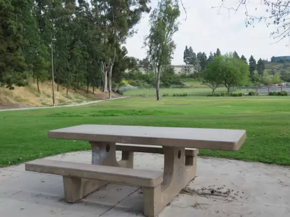 Pretty park with a nature feel and unique playground.