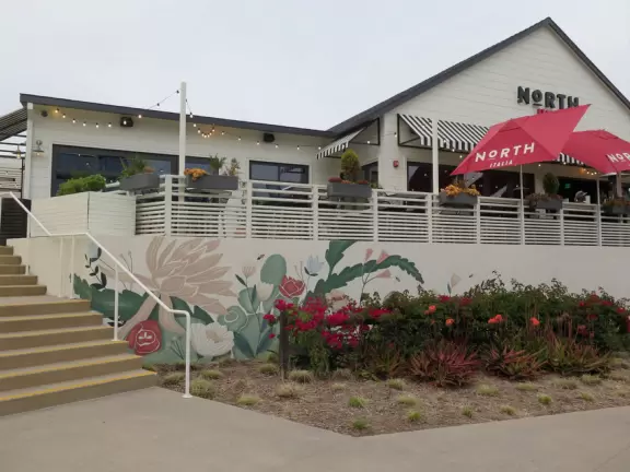 Upscale, colorful plaza in farmhouse style, with modern cafes. Kids climb on a huge log. The fire pit is fantastic at night, surrounded by eucalyptus trees.