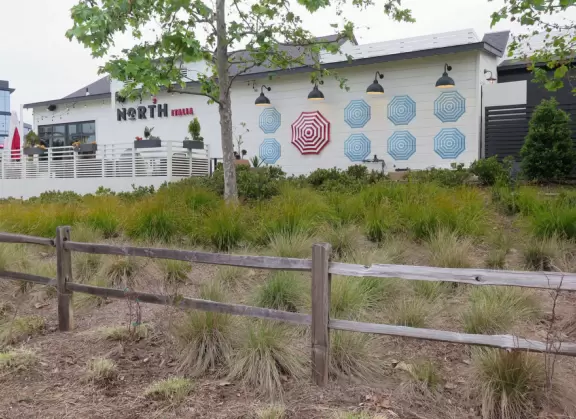 Upscale, colorful plaza in farmhouse style, with modern cafes. Kids climb on a huge log. The fire pit is fantastic at night, surrounded by eucalyptus trees.
