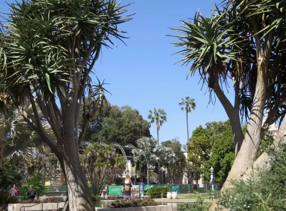 Stroll past beautiful architecture, ponds, fountains, flowers, and trees. Visit many different museums! And best of all, walk through sumptuous gardens.