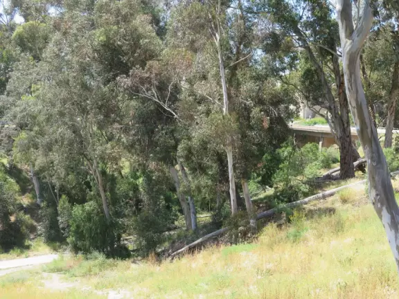 Stroll past beautiful architecture, ponds, fountains, flowers, and trees. Visit many different museums! And best of all, walk through sumptuous gardens.