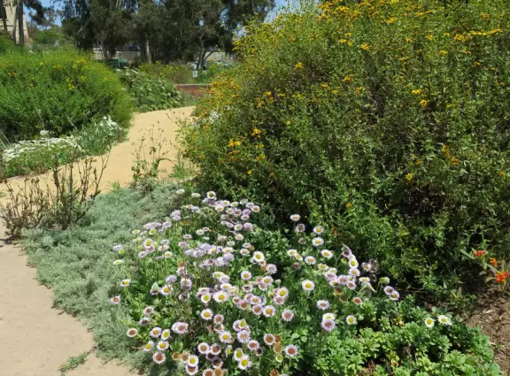 Stroll past beautiful architecture, ponds, fountains, flowers, and trees. Visit many different museums! And best of all, walk through sumptuous gardens.