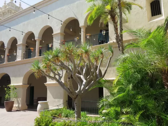 Stroll past beautiful architecture, ponds, fountains, flowers, and trees. Visit many different museums! And best of all, walk through sumptuous gardens.