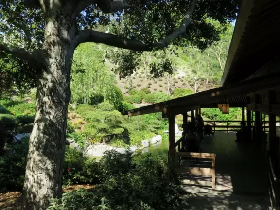 Pleasant garden for a walk, in the middle of Balboa Park!
