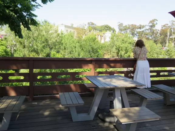 Pleasant garden for a walk, in the middle of Balboa Park!