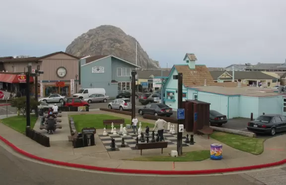 A delightful rock, beautiful wildlife, peaceful idyllic estuary, imaginative playground, and colorful little town.