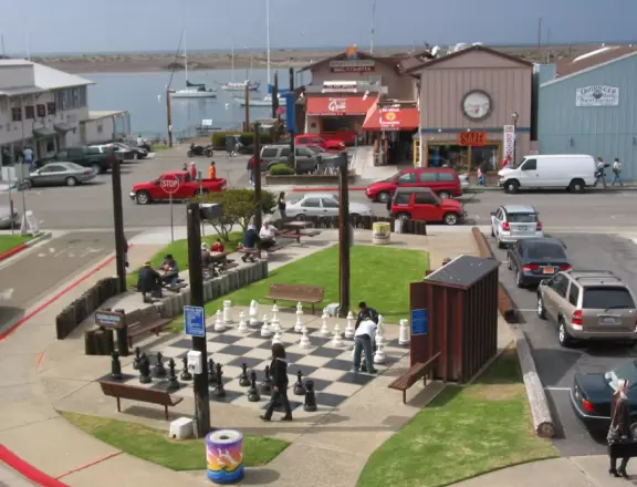 A delightful rock, beautiful wildlife, peaceful idyllic estuary, imaginative playground, and colorful little town.