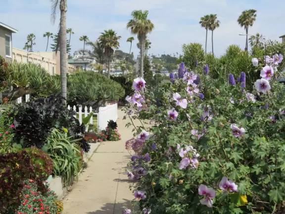 Adorable houses with gardens full of flowers, and streets leading down to lookout points over the ocean.