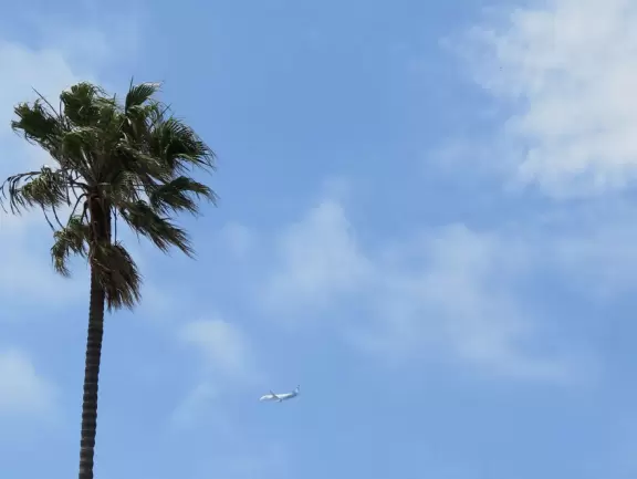 Adorable houses with gardens full of flowers, and streets leading down to lookout points over the ocean.