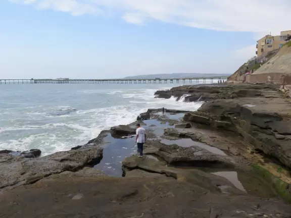 Youthful area with lovely cove and tide pools.