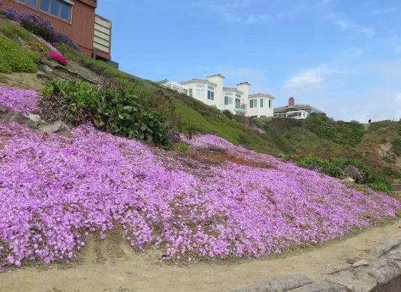 Youthful area with lovely cove and tide pools.