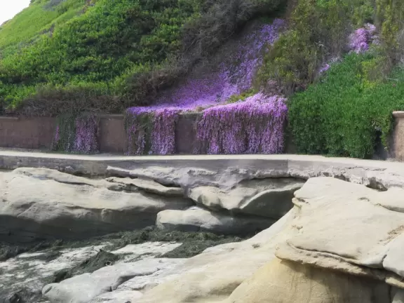 Youthful area with lovely cove and tide pools.