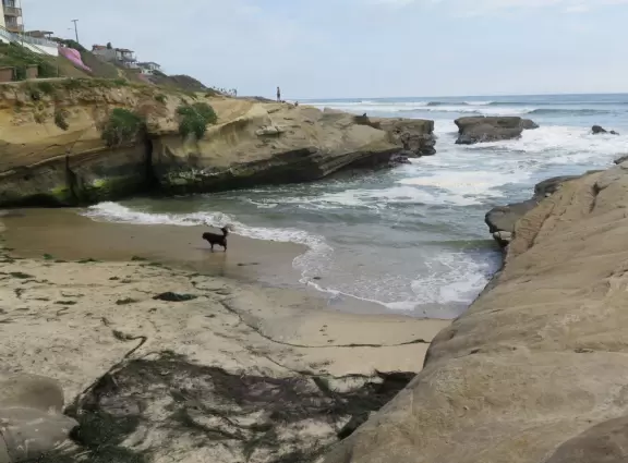 Youthful area with lovely cove and tide pools.
