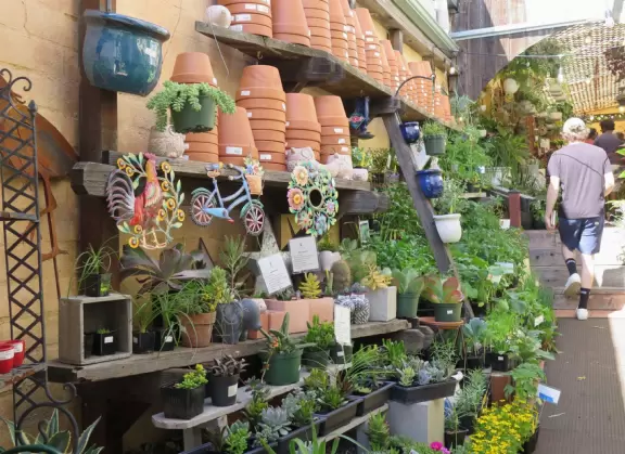 A main street of late 19th century storefronts, popular cafes, and a hip college scene. Recently, suffering an epidemic of homelessness relating to mental health problems.