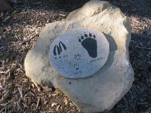 A serene lake with an interesting nature center.