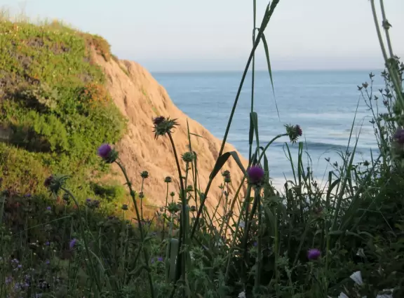 Gorgeous blufftop views, a large lawn, and a playground.