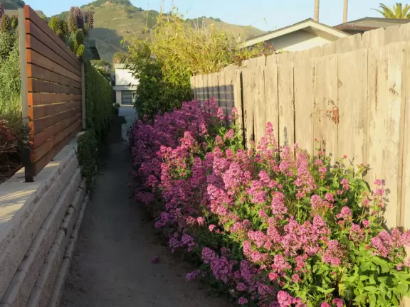 Gorgeous blufftop views, a large lawn, and a playground.
