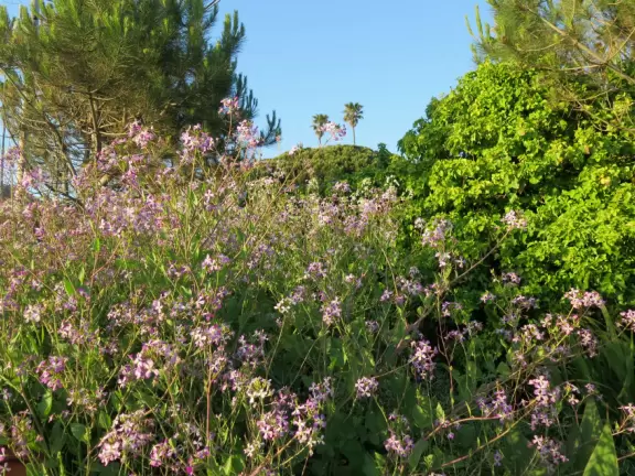 Gorgeous blufftop views, a large lawn, and a playground.