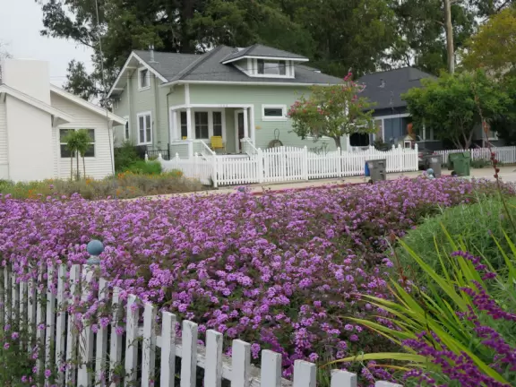 Take a walk past pretty Victorian homes and gardens.