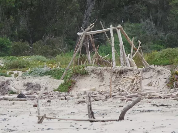 A rugged beach covered in driftwood and framed by dramatic white cliffs.