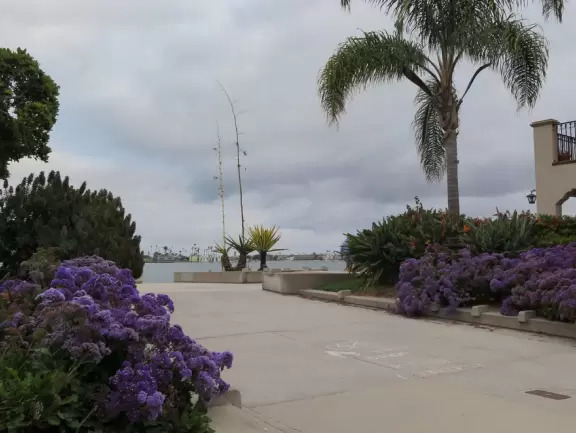 Beach area where partying college students live and SeaWorld visitors stay, with bland 1950s architecture, bad traffic, and dirty beach, but some wonderful finds such as Moray's at Sail Bay.