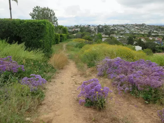 1.5 km loop hike down into a canyon and back up again. Abundant flowers in spring!