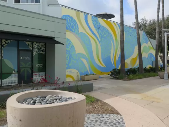 Shopping plaza near UCSD with Mendocino Farms cafe, Whole Foods market, Cava Bowls, Rubio's Coastal Grill, Philz Coffee, and some nice murals.
