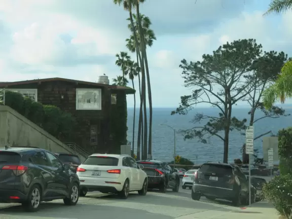 Heavenly area with seals, perfect cove, flowers hugging the cliff, and 1.5km walk above the sea.