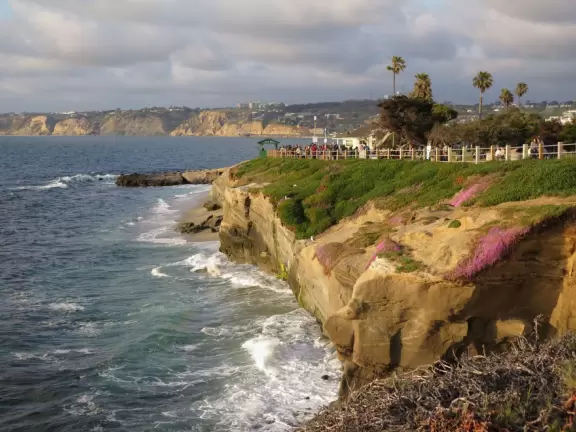 Heavenly area with seals, perfect cove, flowers hugging the cliff, and 1.5km walk above the sea.