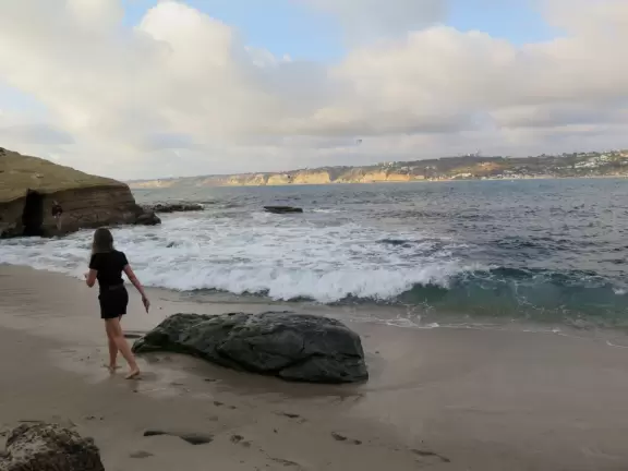 Heavenly area with seals, perfect cove, flowers hugging the cliff, and 1.5km walk above the sea.