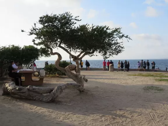 Heavenly area with seals, perfect cove, flowers hugging the cliff, and 1.5km walk above the sea.