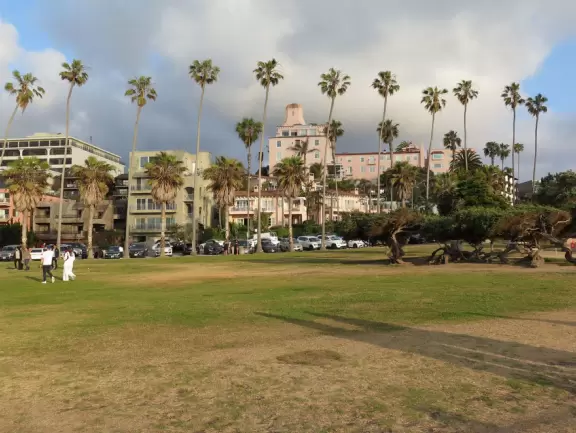 Heavenly area with seals, perfect cove, flowers hugging the cliff, and 1.5km walk above the sea.