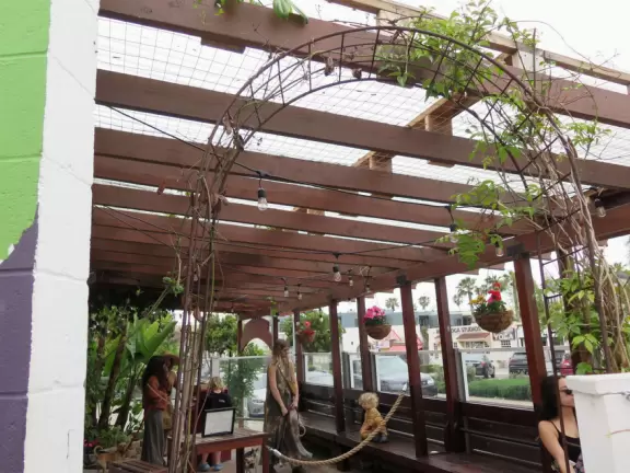 Cute main strip with cafes, a few block from a beautiful coastline of rocky coves.