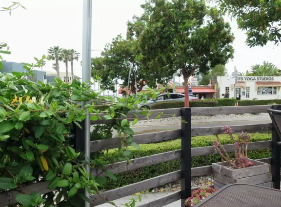 Cute main strip with cafes, a few block from a beautiful coastline of rocky coves.