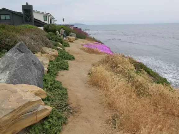 Small lawn on cliffs over the sea, with ice plant in spring, and sound of huge pebbles below.
