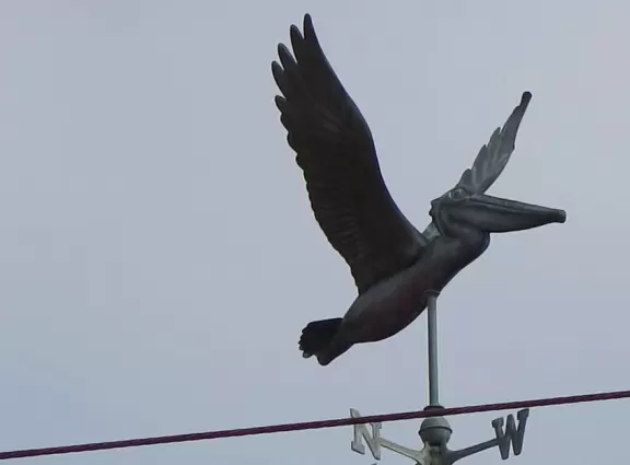 Cute town along Coast Highway, with bright cafes, and beaches just a short walk away.