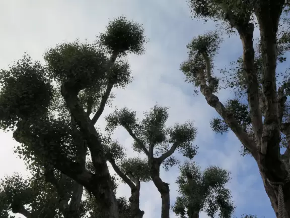 Cute town along Coast Highway, with bright cafes, and beaches just a short walk away.