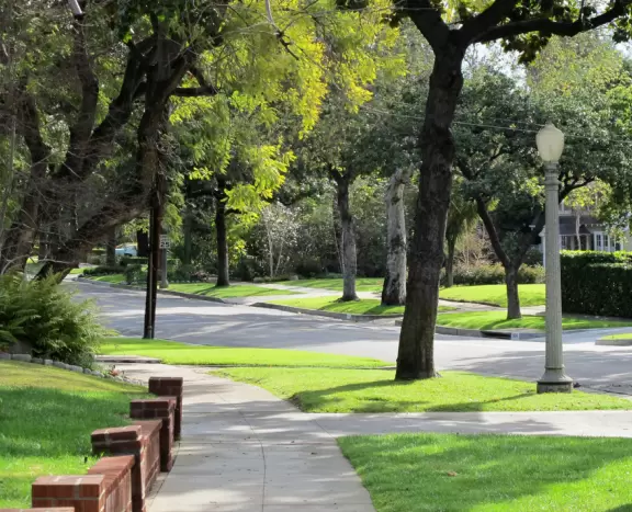 Streets filled with old-fashioned lamp posts, magnificent old trees, and gracious mansions.