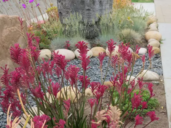 A walk among tropical trees and flowers, and the sweetest houses.